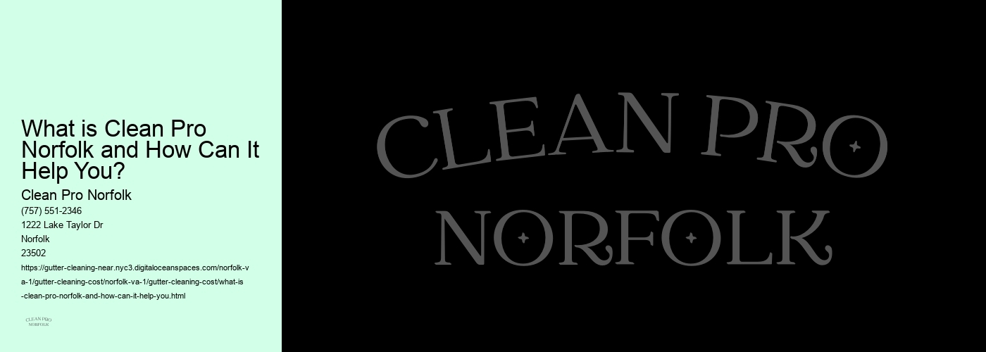 What is Clean Pro Norfolk and How Can It Help You? 