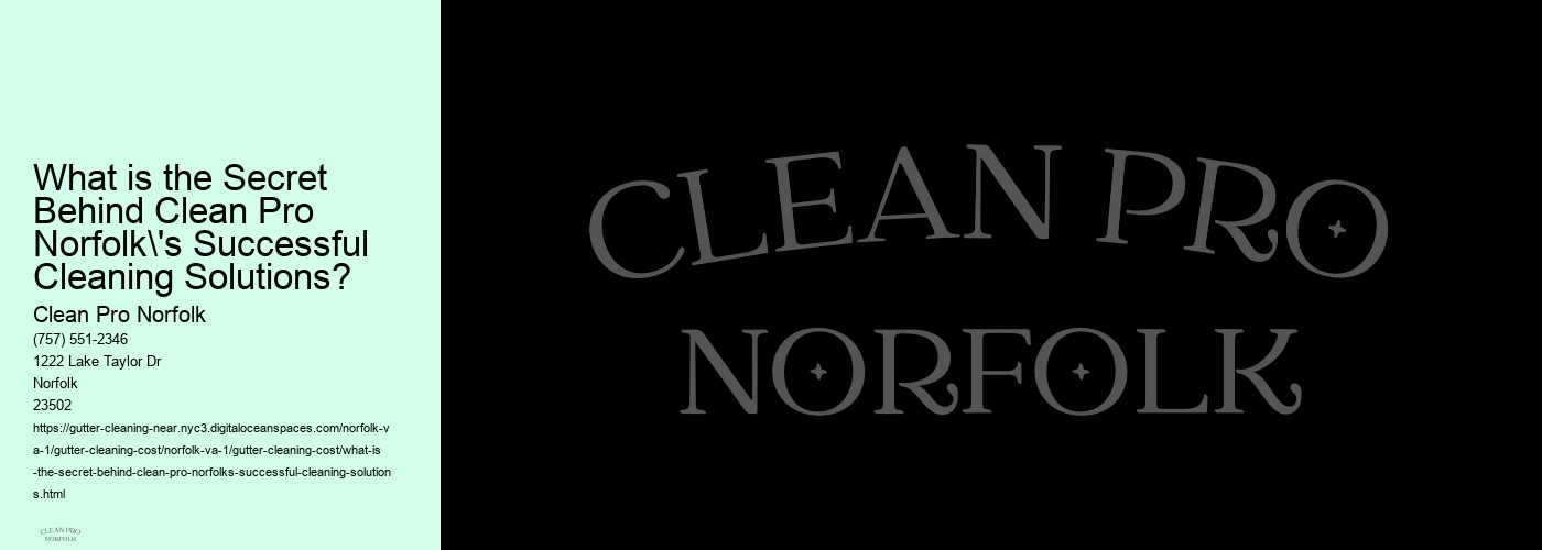 What is the Secret Behind Clean Pro Norfolk's Successful Cleaning Solutions? 
