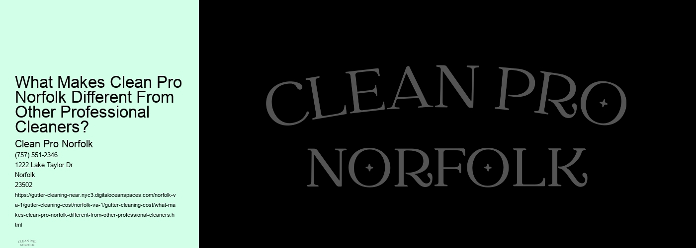 What Makes Clean Pro Norfolk Different From Other Professional Cleaners?