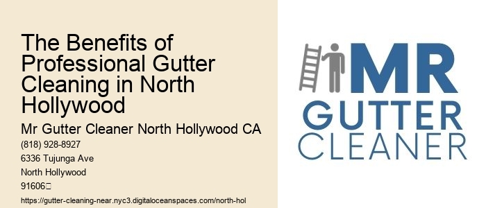 The Benefits of Professional Gutter Cleaning in North Hollywood 