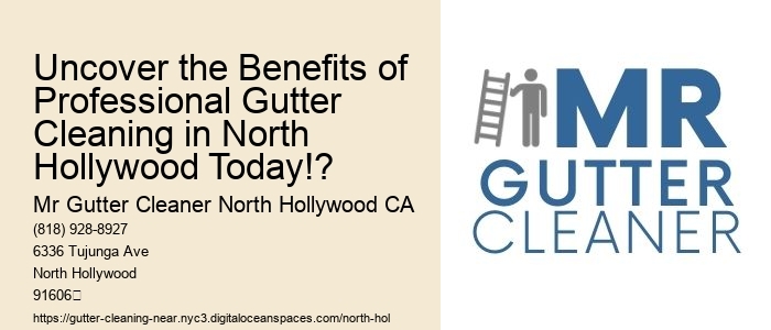 Uncover the Benefits of Professional Gutter Cleaning in North Hollywood Today!?