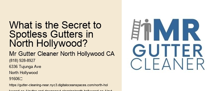 What is the Secret to Spotless Gutters in North Hollywood? 