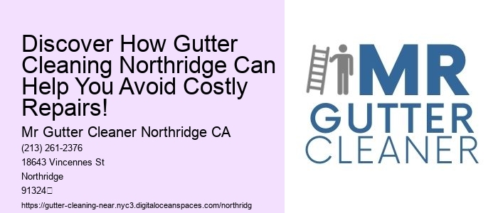 Discover How Gutter Cleaning Northridge Can Help You Avoid Costly Repairs!