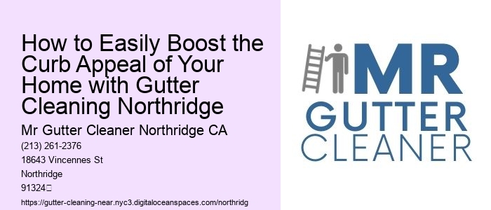 How to Easily Boost the Curb Appeal of Your Home with Gutter Cleaning Northridge 