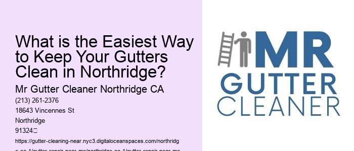 What is the Easiest Way to Keep Your Gutters Clean in Northridge?