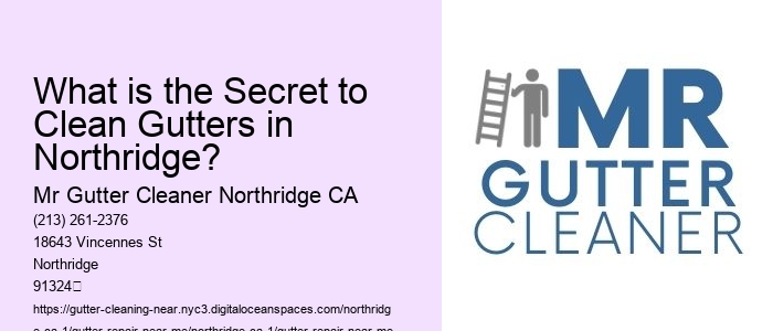 What is the Secret to Clean Gutters in Northridge? 