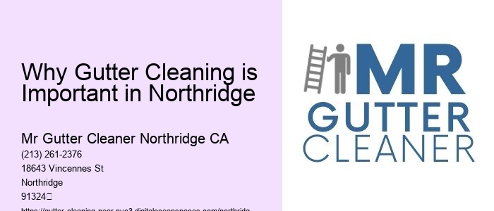 Why Gutter Cleaning is Important in Northridge 