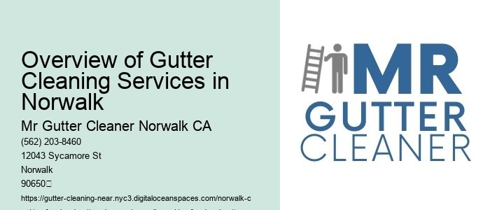 Overview of Gutter Cleaning Services in Norwalk 