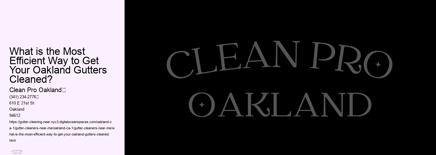What is the Most Efficient Way to Get Your Oakland Gutters Cleaned? 
