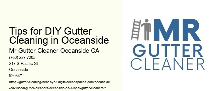 Tips for DIY Gutter Cleaning in Oceanside 