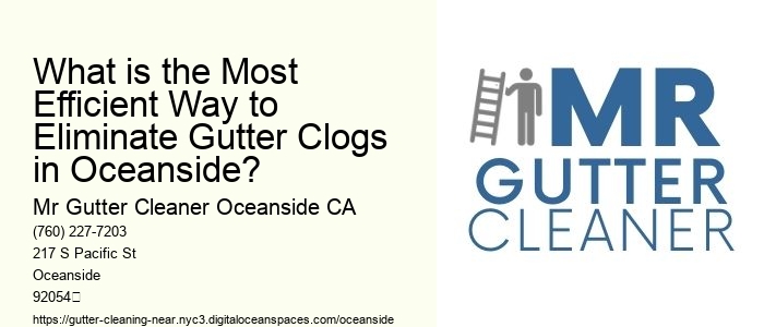 What is the Most Efficient Way to Eliminate Gutter Clogs in Oceanside?