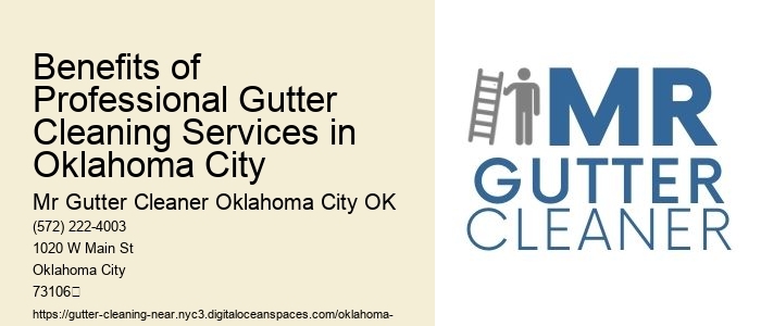 Benefits of Professional Gutter Cleaning Services in Oklahoma City 