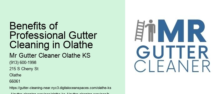 Benefits of Professional Gutter Cleaning in Olathe 