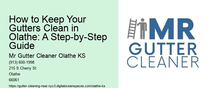 How to Keep Your Gutters Clean in Olathe: A Step-by-Step Guide 