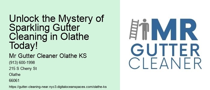 Unlock the Mystery of Sparkling Gutter Cleaning in Olathe Today!