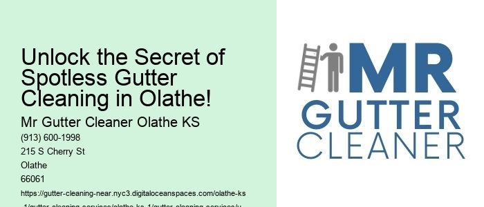 Unlock the Secret of Spotless Gutter Cleaning in Olathe!