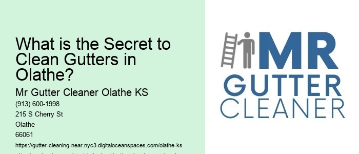 What is the Secret to Clean Gutters in Olathe? 