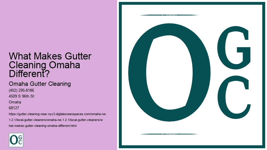 What Makes Gutter Cleaning Omaha Different? 