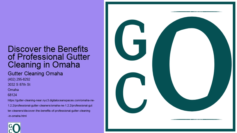 Discover the Benefits of Professional Gutter Cleaning in Omaha 