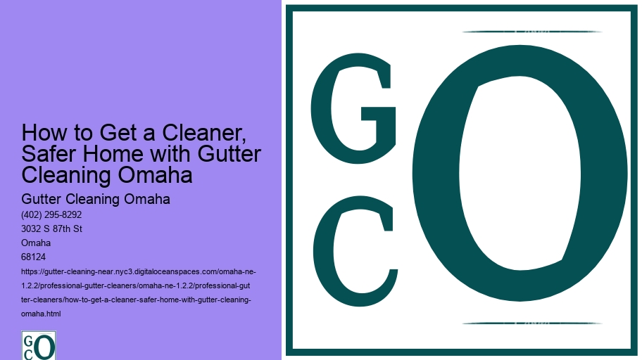 How to Get a Cleaner, Safer Home with Gutter Cleaning Omaha 