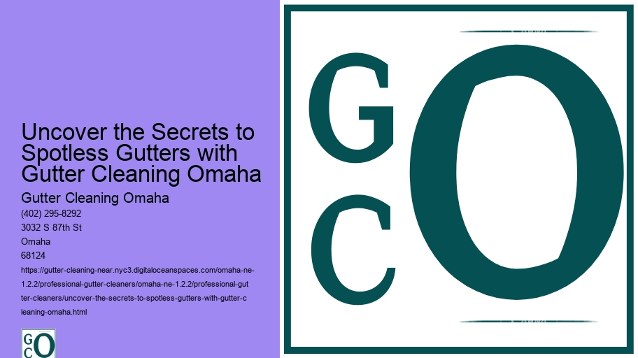 Uncover the Secrets to Spotless Gutters with Gutter Cleaning Omaha 