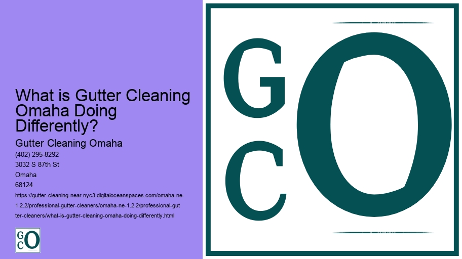 What is Gutter Cleaning Omaha Doing Differently? 