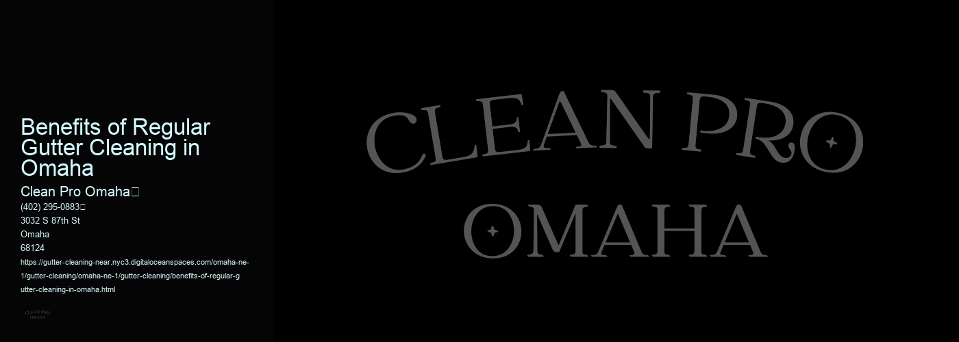 Benefits of Regular Gutter Cleaning in Omaha