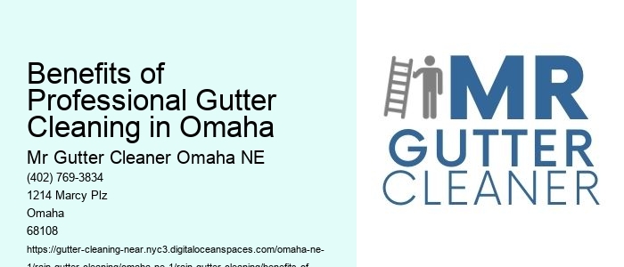 Benefits of Professional Gutter Cleaning in Omaha 