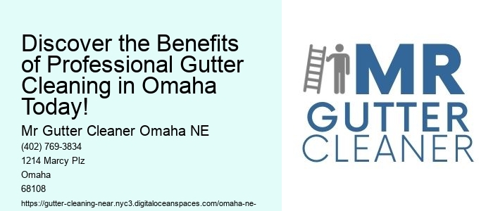 Discover the Benefits of Professional Gutter Cleaning in Omaha Today!