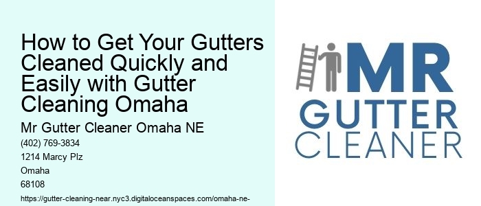 How to Get Your Gutters Cleaned Quickly and Easily with Gutter Cleaning Omaha 