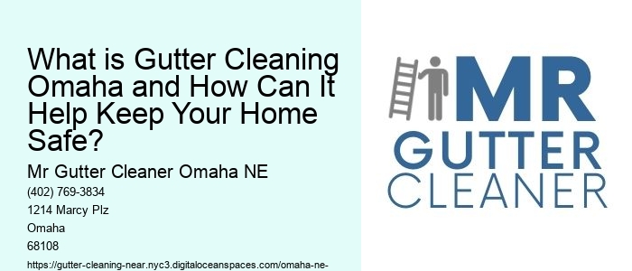 What is Gutter Cleaning Omaha and How Can It Help Keep Your Home Safe? 