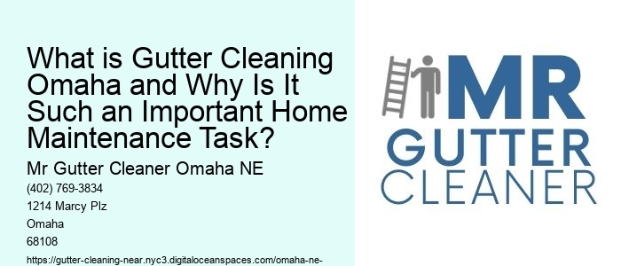 What is Gutter Cleaning Omaha and Why Is It Such an Important Home Maintenance Task?