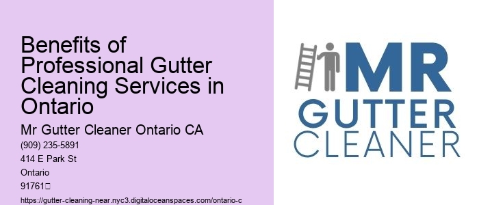 Benefits of Professional Gutter Cleaning Services in Ontario 