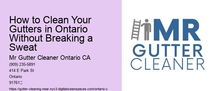 How to Clean Your Gutters in Ontario Without Breaking a Sweat 