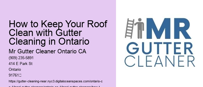 How to Keep Your Roof Clean with Gutter Cleaning in Ontario