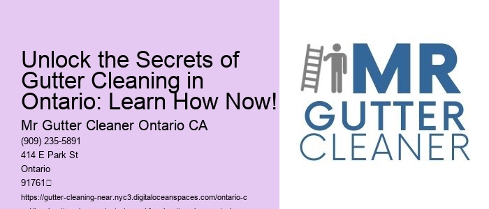Unlock the Secrets of Gutter Cleaning in Ontario: Learn How Now!