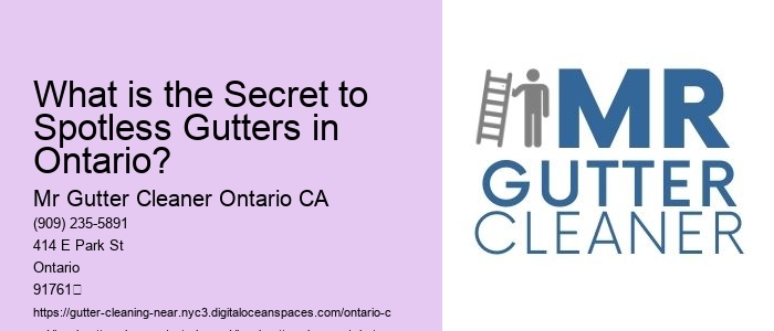 What is the Secret to Spotless Gutters in Ontario? 
