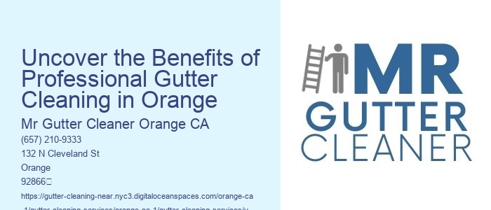 Uncover the Benefits of Professional Gutter Cleaning in Orange