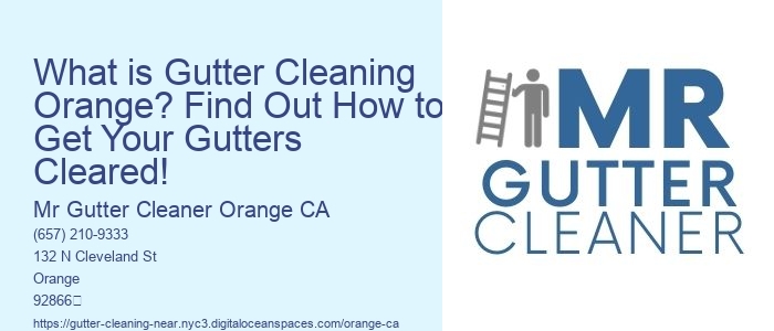 What is Gutter Cleaning Orange? Find Out How to Get Your Gutters Cleared! 