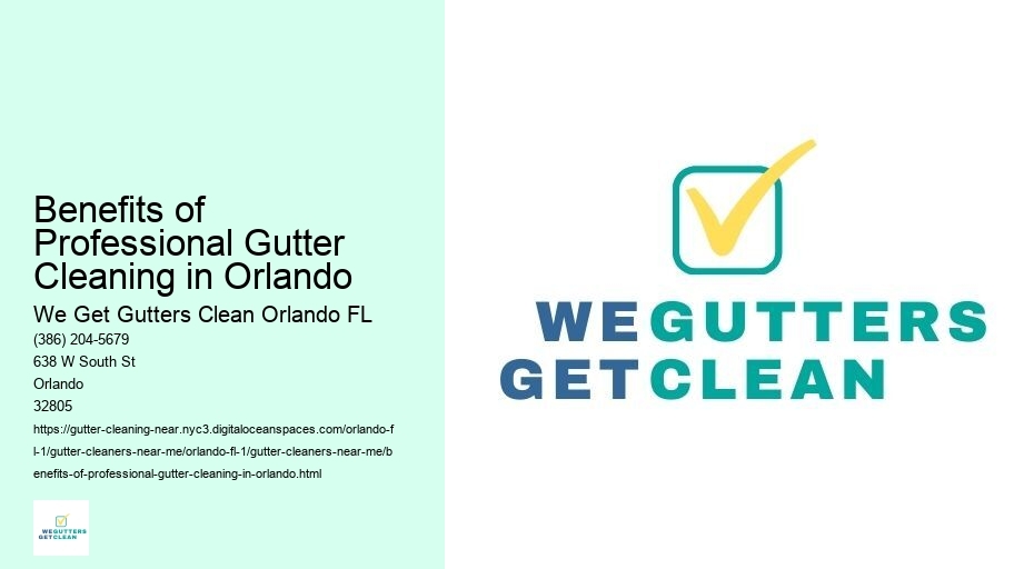 Benefits of Professional Gutter Cleaning in Orlando 