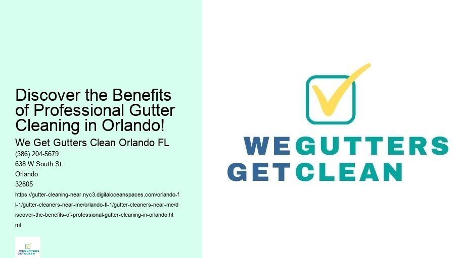 Discover the Benefits of Professional Gutter Cleaning in Orlando!