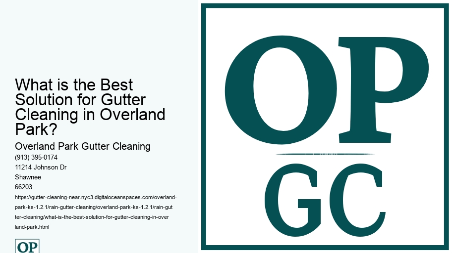 What is the Best Solution for Gutter Cleaning in Overland Park?
