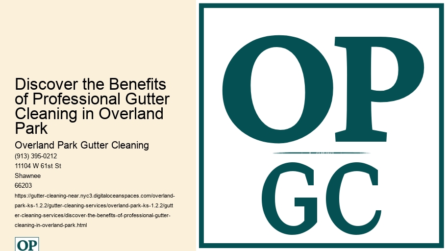 Discover the Benefits of Professional Gutter Cleaning in Overland Park 