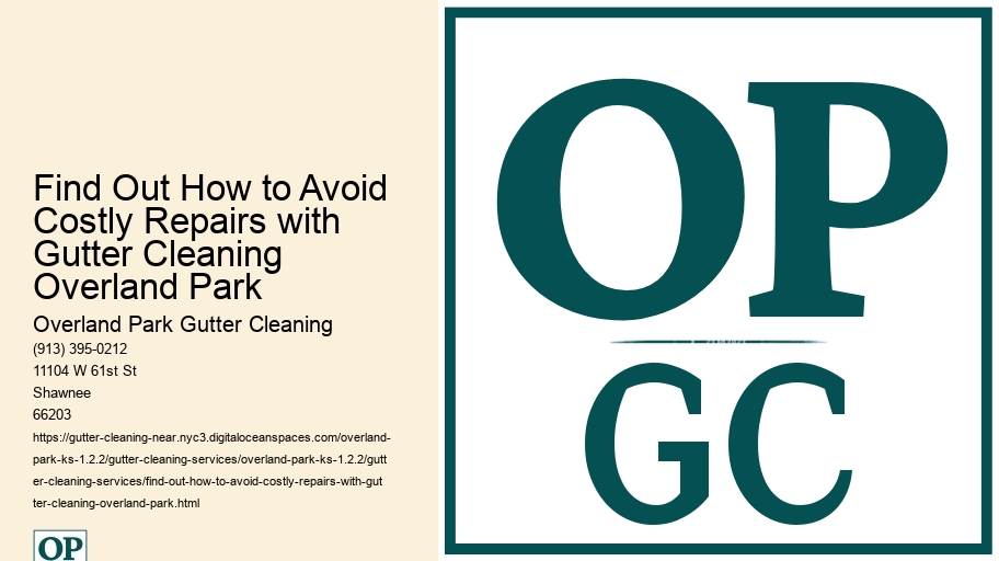 Find Out How to Avoid Costly Repairs with Gutter Cleaning Overland Park