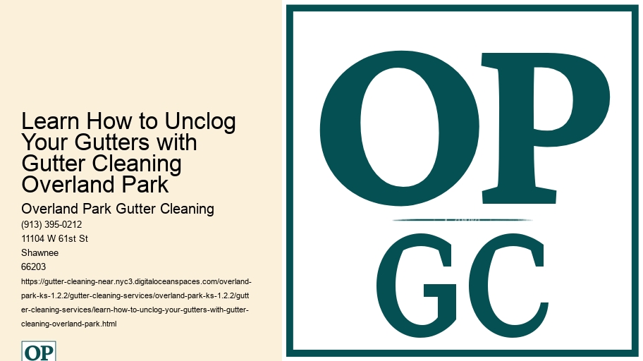 Learn How to Unclog Your Gutters with Gutter Cleaning Overland Park 