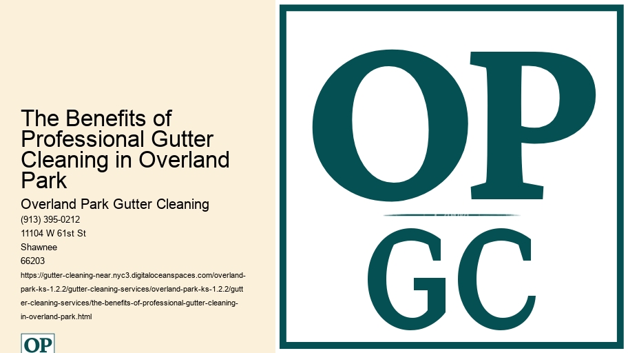 The Benefits of Professional Gutter Cleaning in Overland Park 