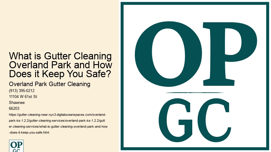 What is Gutter Cleaning Overland Park and How Does it Keep You Safe? 