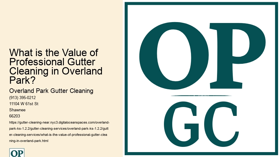 What is the Value of Professional Gutter Cleaning in Overland Park? 