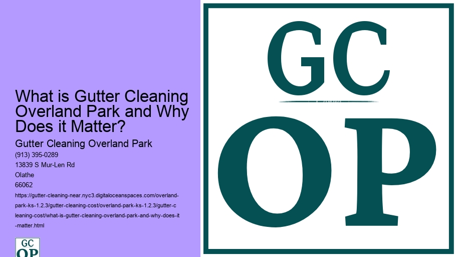 What is Gutter Cleaning Overland Park and Why Does it Matter? 