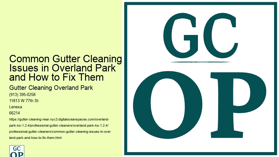 Common Gutter Cleaning Issues in Overland Park and How to Fix Them 
